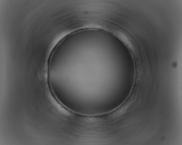 X0000093561084200710151102