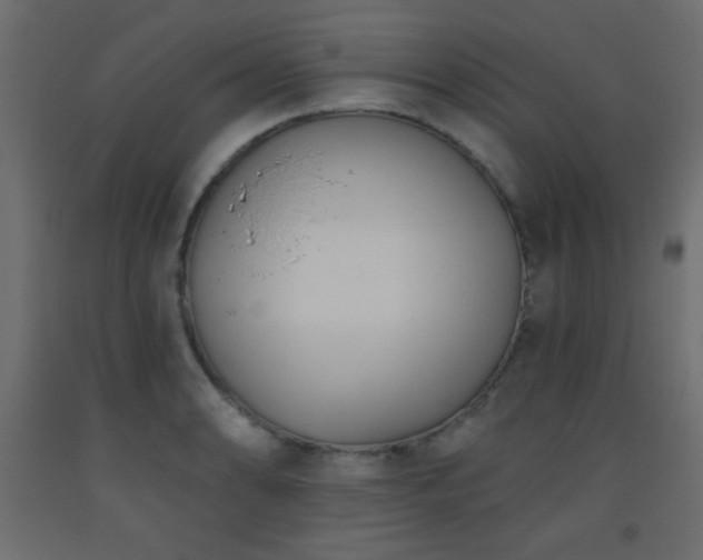 X0000093561086200710151102