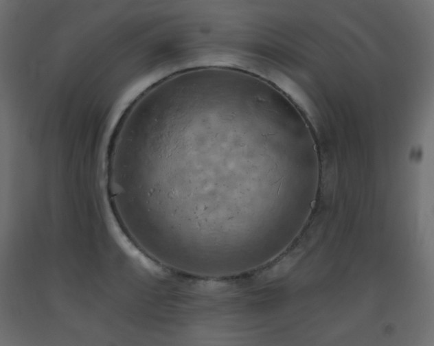 X0000093561088200710151102