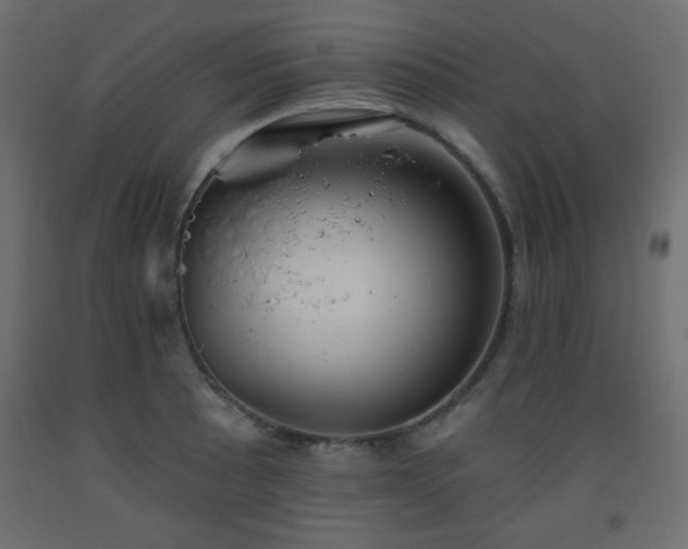 X0000093561089200710151102