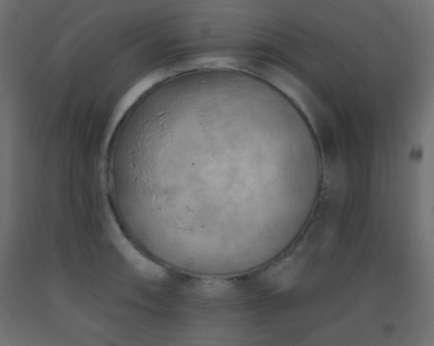 X0000093561090200710151102