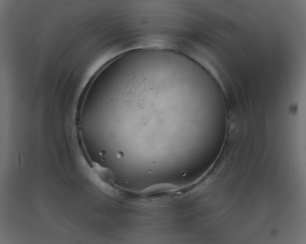 X0000093561091200710151102