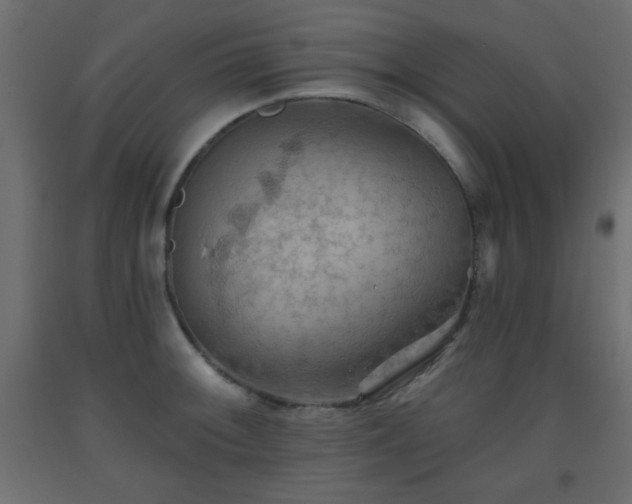 X0000093561092200710151102