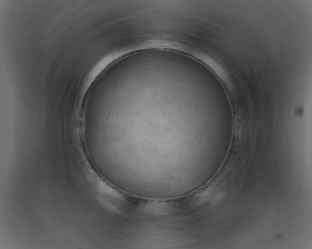 X0000093561094200710151102
