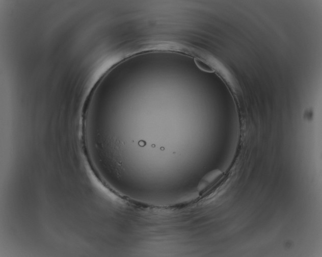 X0000093561095200710151102