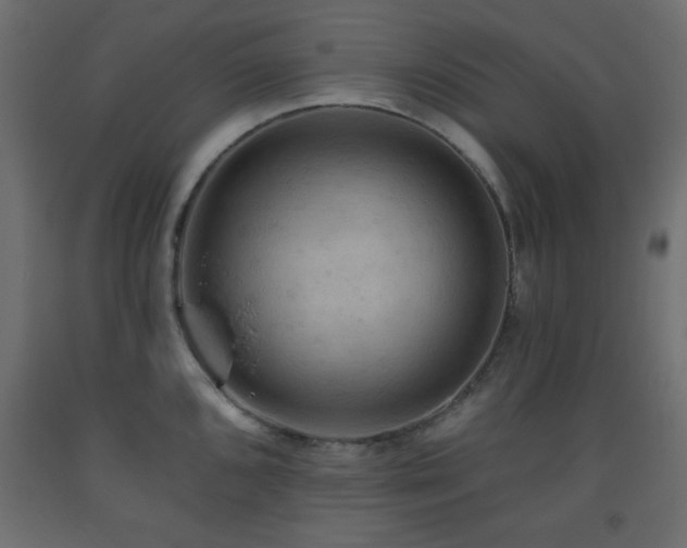 X0000093561096200710151102