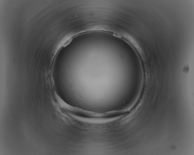 X0000093561097200710151102