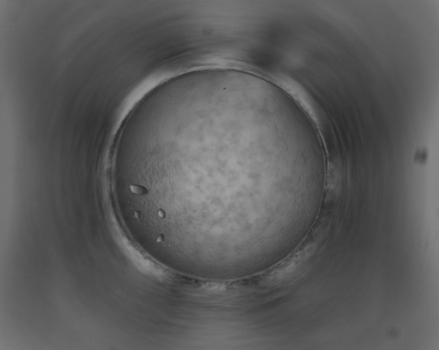 X0000093561098200710151102