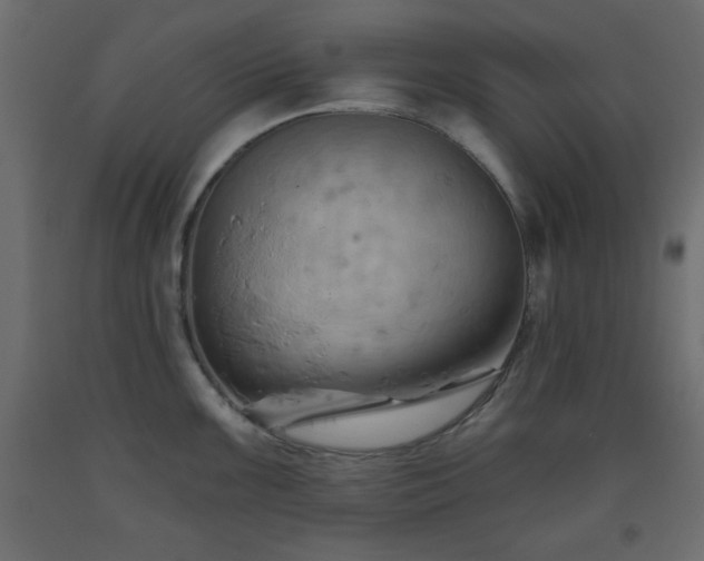 X0000093561099200710151102