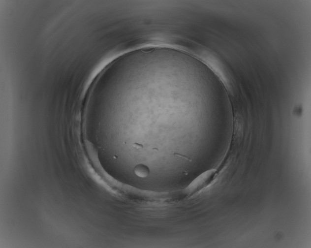 X0000093561100200710151102