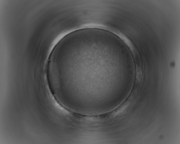 X0000093561102200710151102