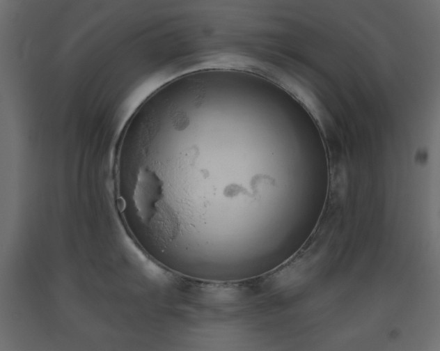 X0000093561103200710151102