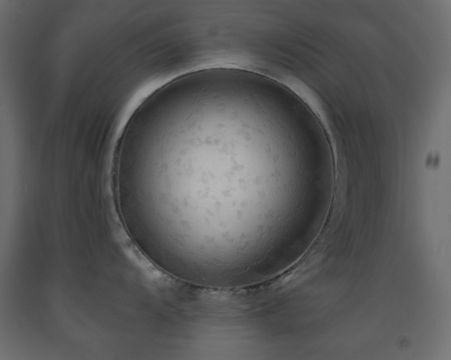 X0000093561104200710151102