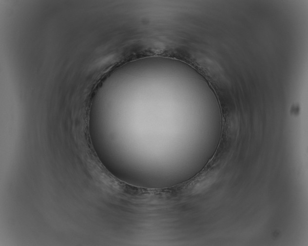 X0000093561105200710151101