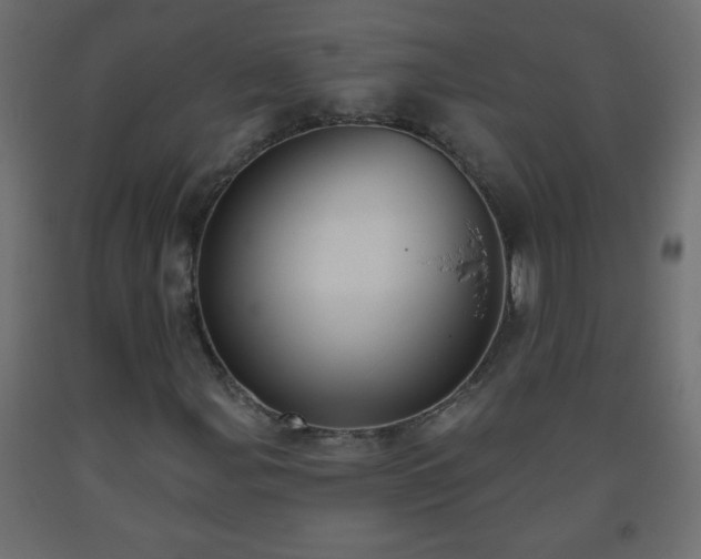 X0000093561107200710151102