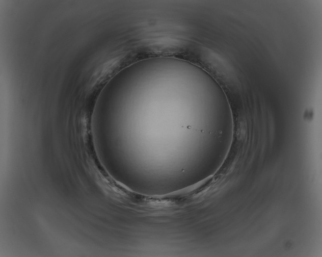 X0000093561108200710151102