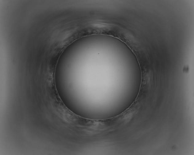 X0000093561109200710151102