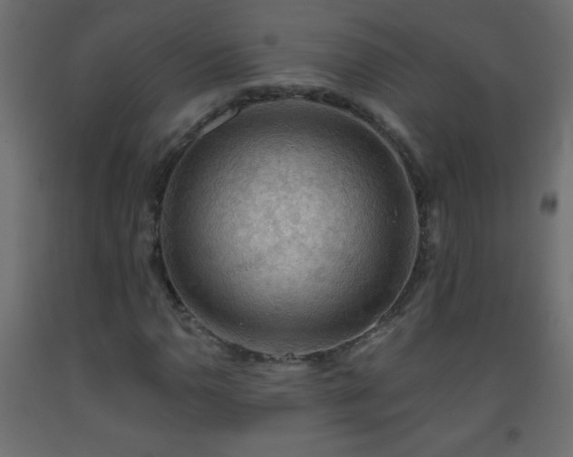 X0000093561110200710151102