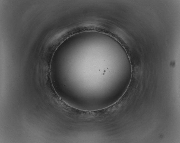 X0000093561111200710151102