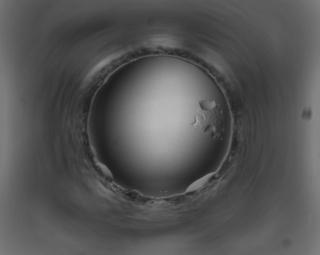 X0000093561112200710151102