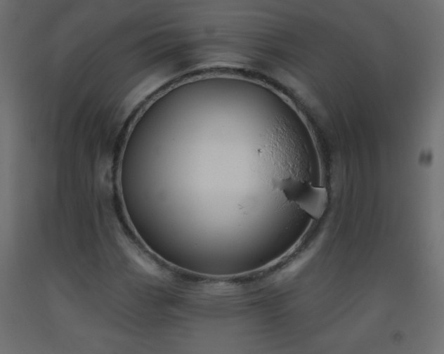 X0000093561113200710151102