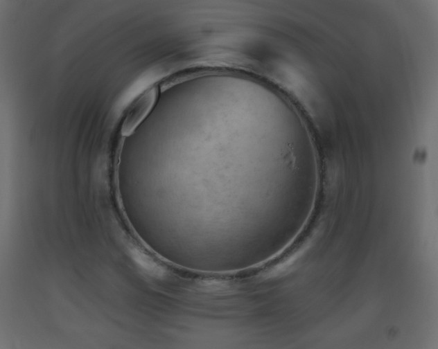 X0000093561114200710151102