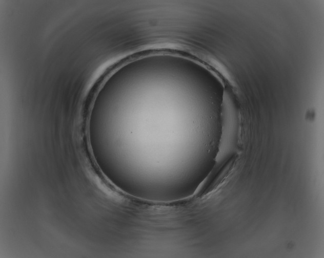 X0000093561116200710151102