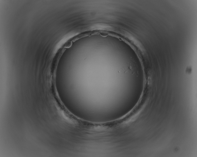X0000093561117200710151102