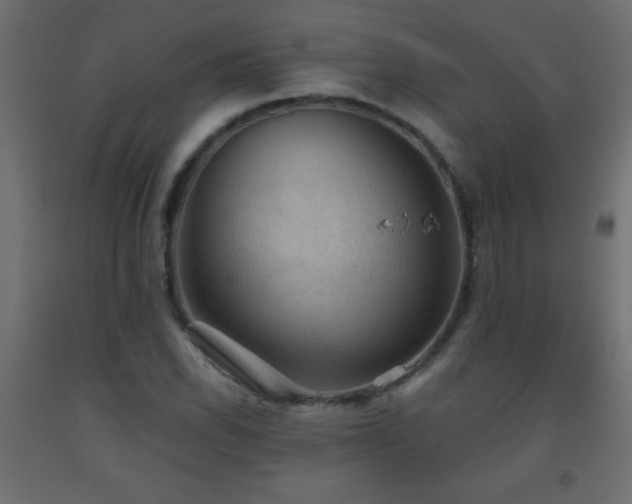 X0000093561118200710151102