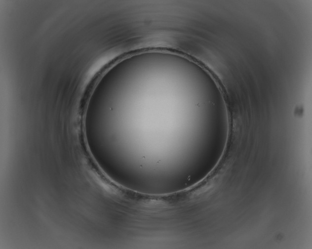 X0000093561119200710151102