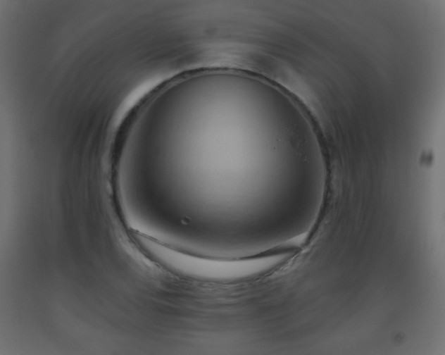 X0000093561120200710151102