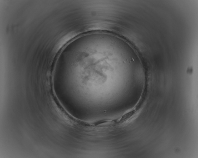 X0000093561121200710151102