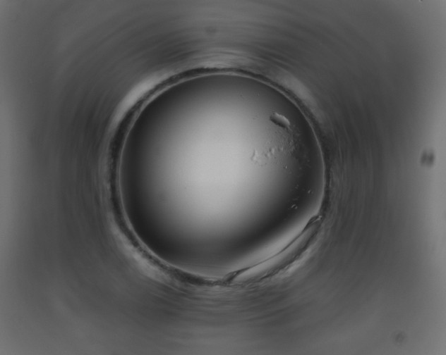 X0000093561122200710151102