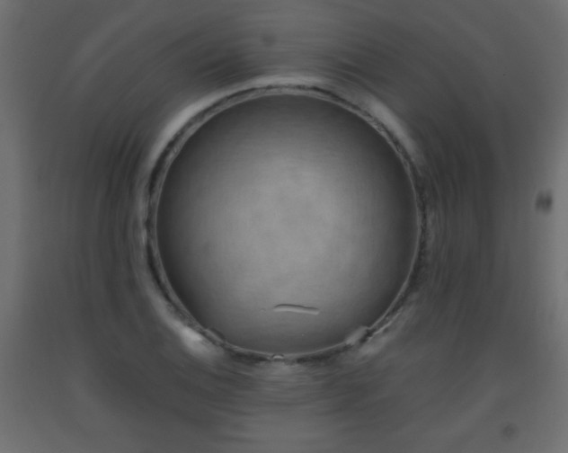 X0000093561124200710151102