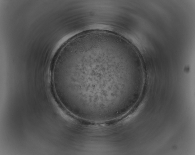 X0000093561125200710151102