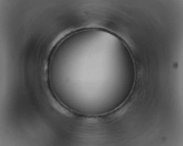 X0000093561126200710151102