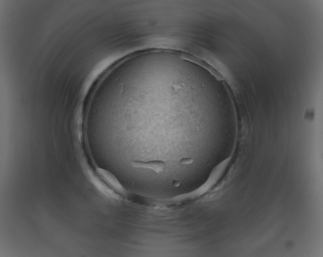 X0000093561128200710151102