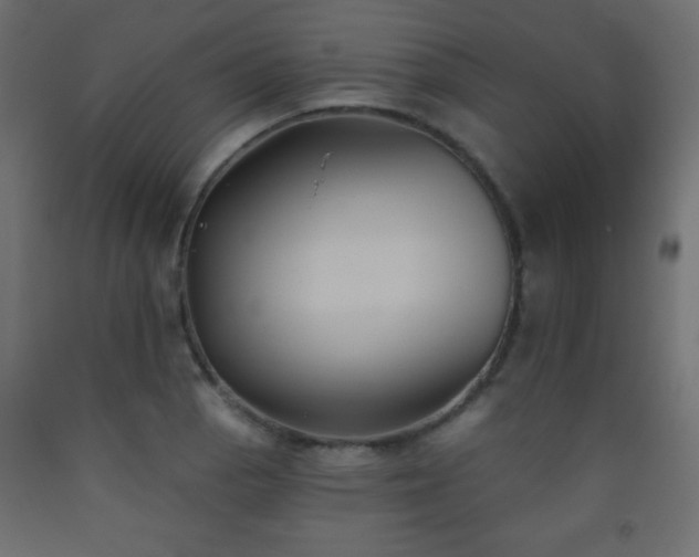 X0000093561129200710151102