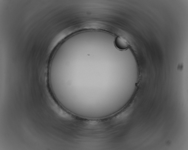 X0000093561130200710151102