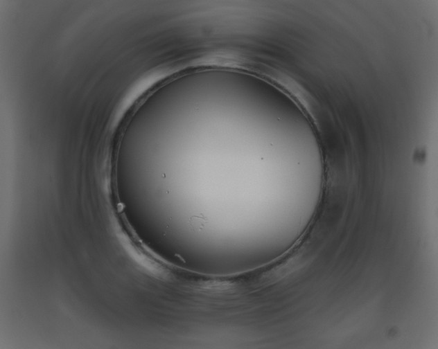 X0000093561131200710151102