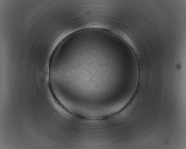 X0000093561132200710151102