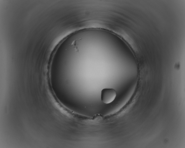 X0000093561134200710151102