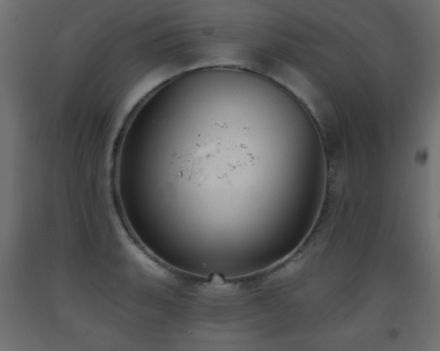 X0000093561135200710151102