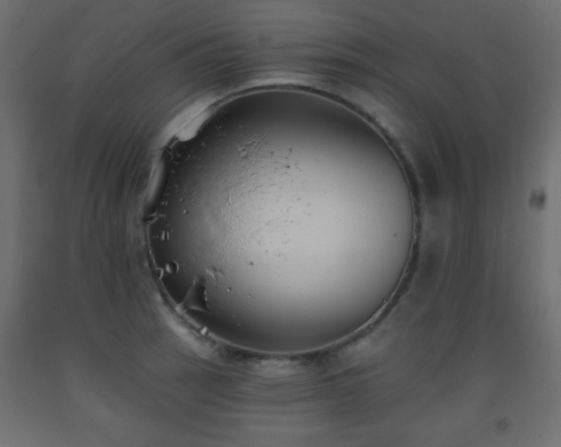 X0000093561137200710151102