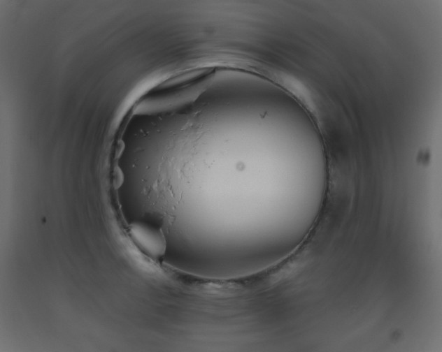 X0000093561138200710151102