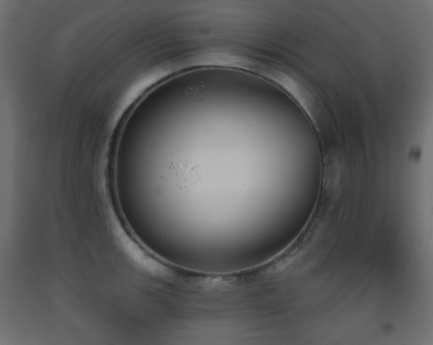 X0000093561139200710151102