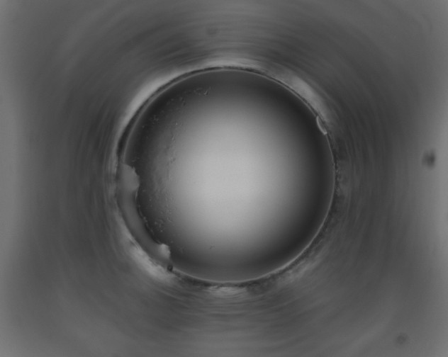X0000093561140200710151102