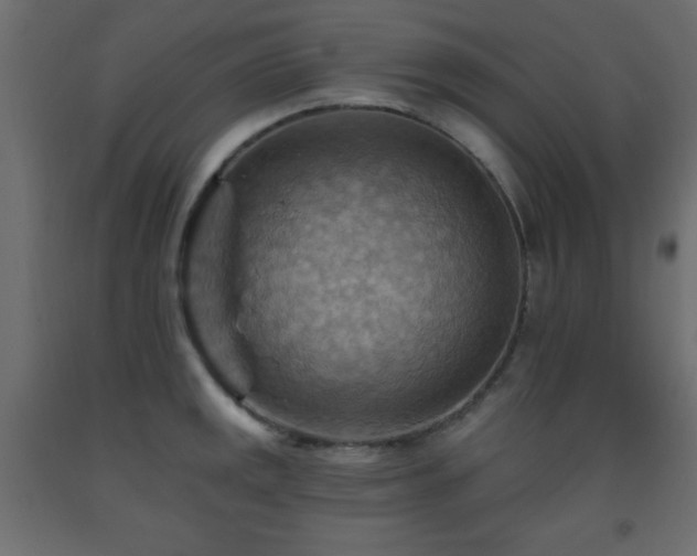X0000093561141200710151102
