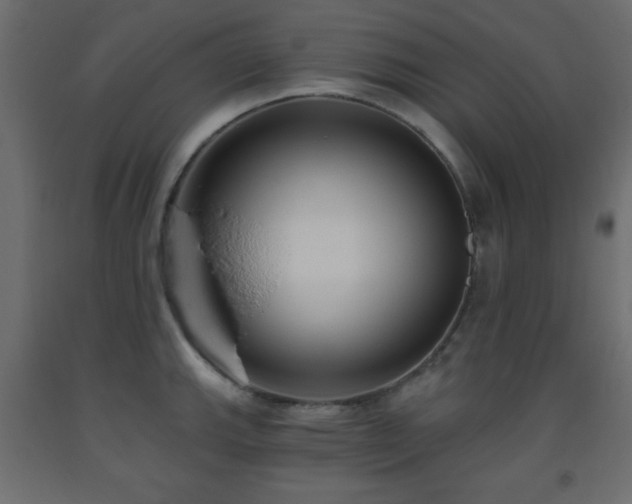 X0000093561143200710151102