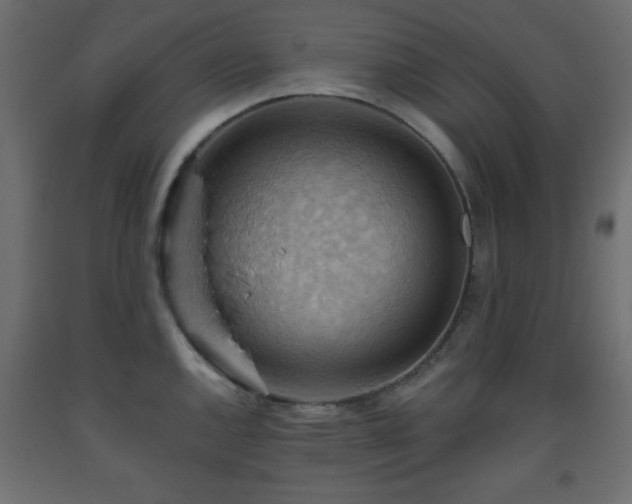 X0000093561144200710151102